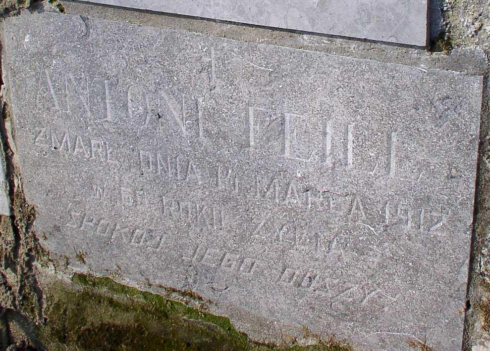 17 Fot. nr 16. Antoni Feill, dziedzic majątku w Woli Zręczyckiej (zm. 14.03.