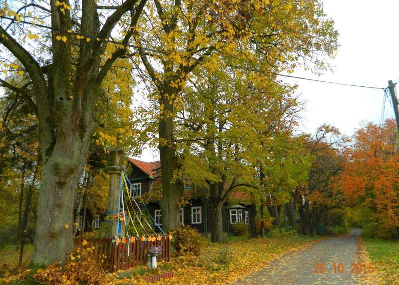 40 III. Otoczenie dworu Fot. nr 54 (54-60). Kapliczka słupowa na tyłach dworu. (10.12.2015) Fot. nr 55.