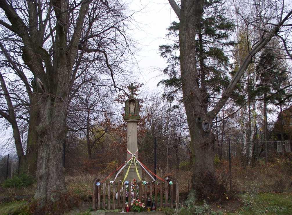41 Fot. nr 56.