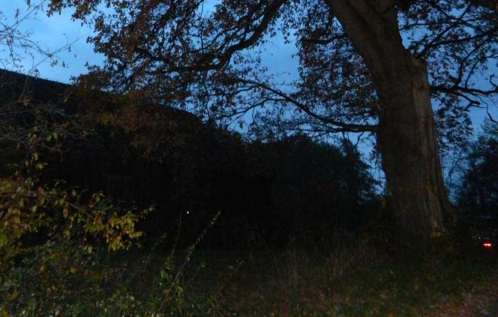 pamięta jeszcze czasy