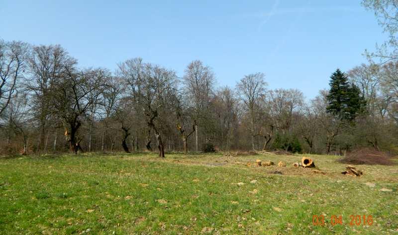 51 Fot. nr 76. Fot. nr 77 (77-79).