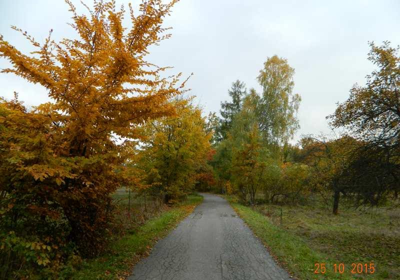 i pól uprawnych, która wiedzie