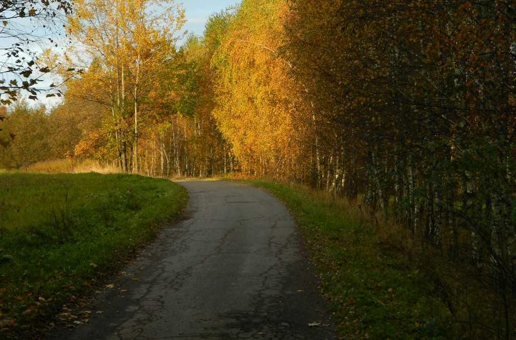 Fot. nr
