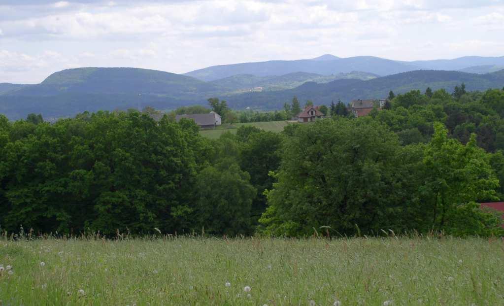 12.2008) Fot.