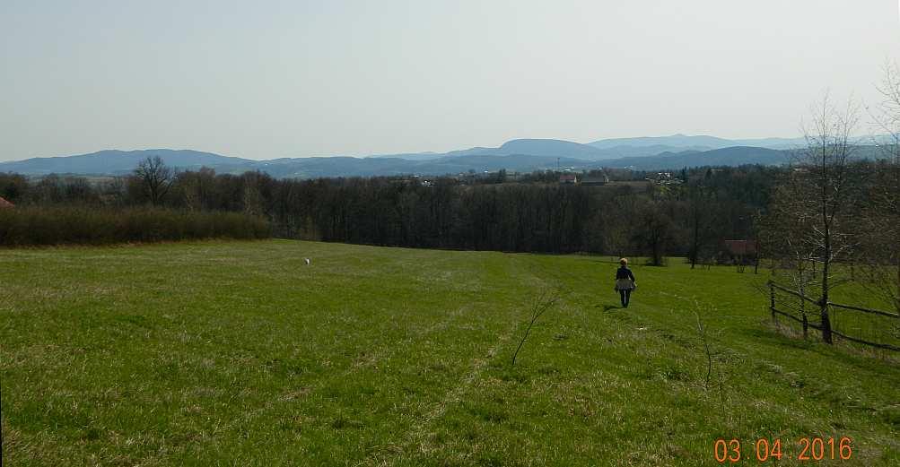 60 Fot. nr 94. Z Kamionną i Pasierbiecką Górą z lewej, Kostrzą pośrodku i czubkiem Mogielicy ponad Łopieniem z prawej.