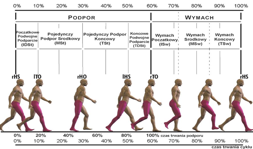 Parametry czasowe czas postawienia pięty (s); czas oderwania palców (s); czas trwania cyklu (s); czas trwania podporu (s); czas trwania wymachu (s); czas trwania pojedynczego podporu (s); czas