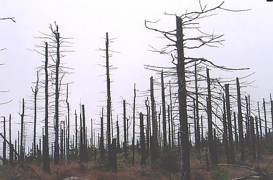 Kwaśne