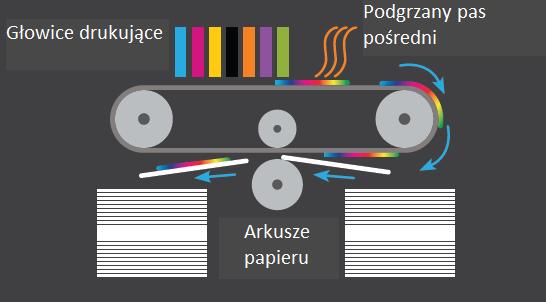 wane głowice drukujące, pozwalające na lepszą jakość nadruku oraz atramenty pozwalające uzyskać zwiększony gamut barw i lepszą odporność nadruku na działanie światła.