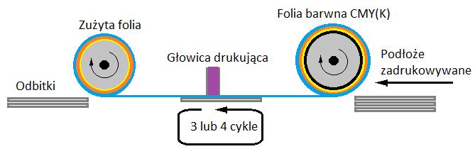 podstawowych w kolejności: Y, M, C, K. Może być inne rozwiązanie folii barwnej, na której znajdują się nałożone obok siebie pola np. formatu A4 w podstawowych kolorach.