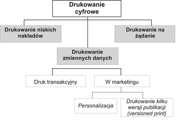 Druk transakcyjny. Są to różnego rodzaju dokumenty finansowe. Za przykład mogą posłużyć rachunki od operatorów telekomunikacyjnych i dostawców energii. Druk transpromocyjny.