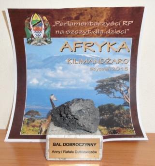 Ekspedycja pod hasłem "Parlamentarzyści RP na szczyt dla dzieci" to wyprawa charytatywna na Kilimandżaro, której celem jest zebranie pieniędzy na leczenie ciężko chorych