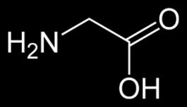 BIAŁKA katalizują metabolizm glicyna proste