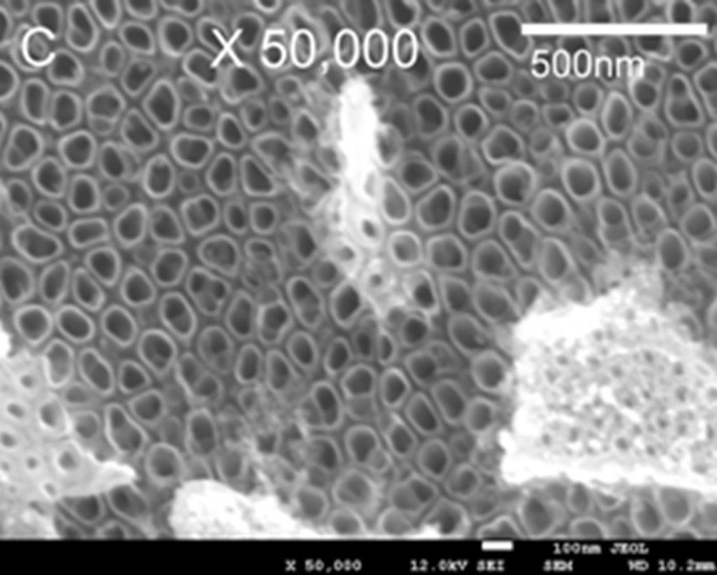 Z kolei najwyższa zawartość fosforanów, odpowiedzialna za bioaktywność nanorurek, występuje podczas ich formowania w 2M H 3 PO 4 +0.4% wag. HF [37].