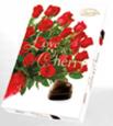 Galaretki Frutini Apple Mint Jellies 3kg Galaretki Frutini Fresh Peach Jellies 3kg