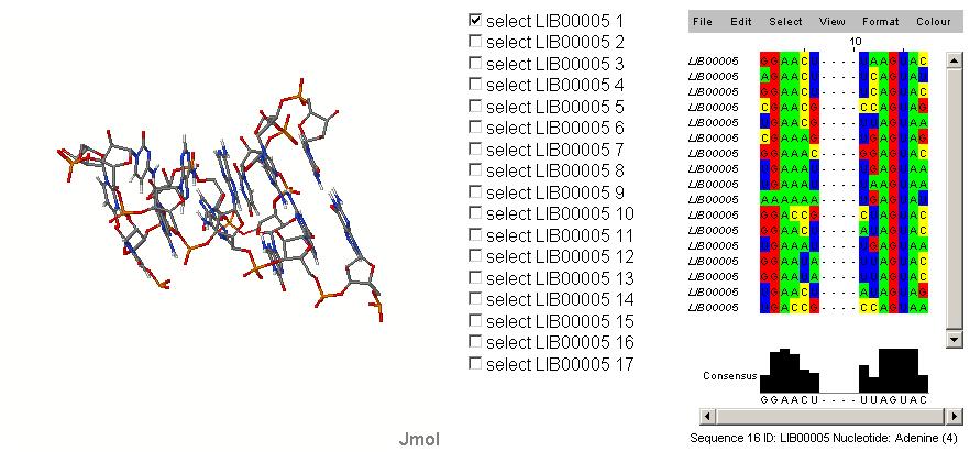 Motywy strukturalne http://rna.bgsu.