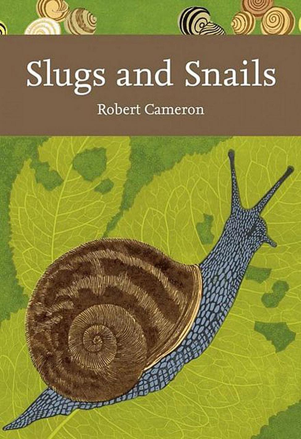 70 Book reviews Getting Ashore, The Fossil Record, The Evolution & Systematics of Land Snails (among other things, the basics of cladistics and modern techniques of reconstructing relationships are