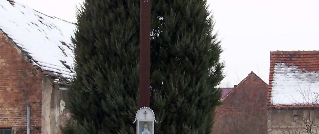Dworek otoczony jest parkiem o cechach krajobrazowych, w którym spotykamy