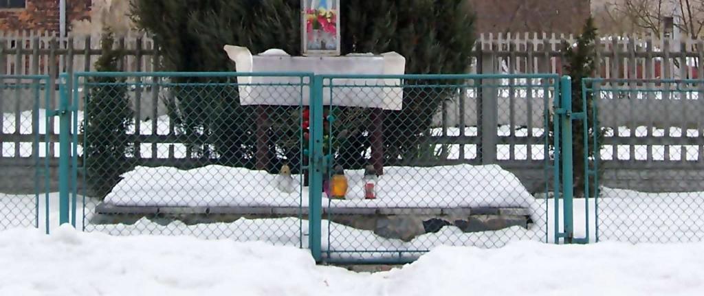 drzewostanie parku z licznymi młodymi samosiewami; Lipa drobnolistna; Topola