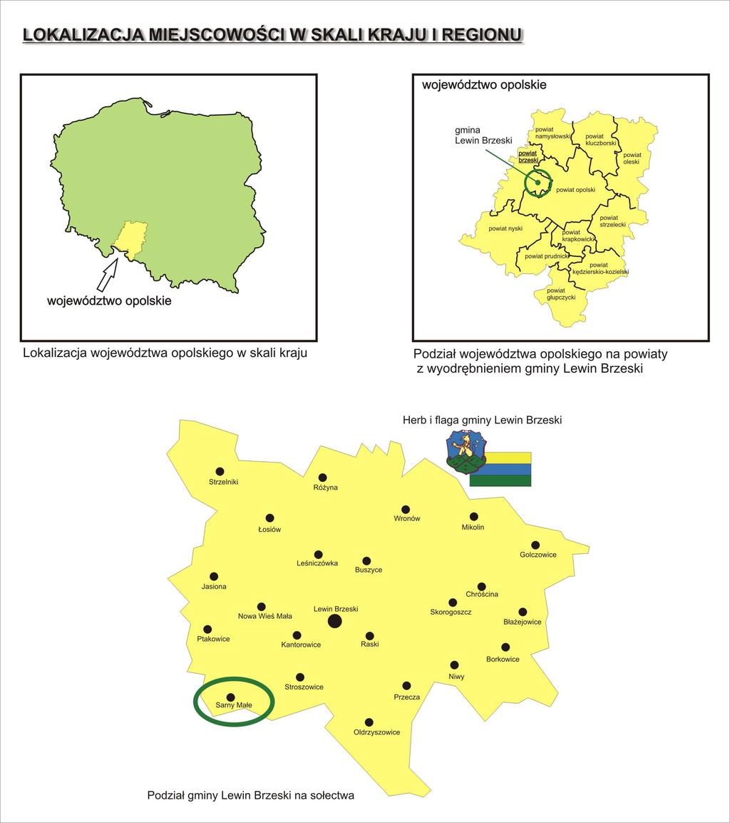 1. CHARAKTERYSTYKA MIEJSCOWOŚCI Sołectwo Sarny Małe administracyjnie zlokalizowane jest w województwie opolskim, powiecie brzeskim, gminie Lewin Brzeski.