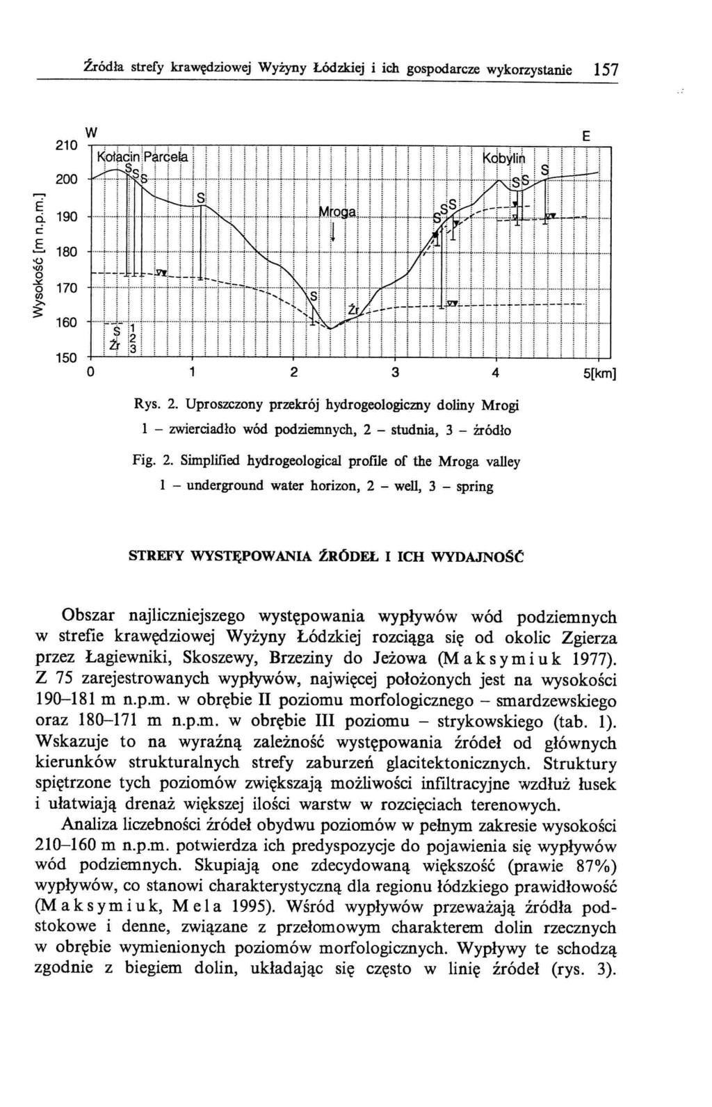 źródła strefy krawędziowej Wyżyny Łódzkiej i ich gospodarcze wykorzystanie 157 210 W 200 E ci. 190 c.s 180 'o 'fil o~ 170 o Ul 160 : S itr 150 O 2 3 4 5[km] Rys. 2. Uproszczony przekrój hydrogeologiczny doliny Mrogi 1 - zwierciadło wód podziemnych 2 - studnia 3 - źródło Fig.