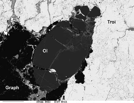 a) Segregations of taenite (Tae) in kamacite (Kam), Schr schreibersite; b) Pyroxene (enstatite, Px) replaced at margins by