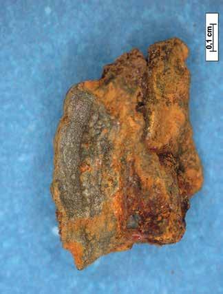 Micrometeorites