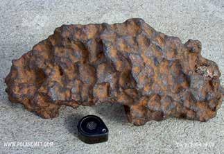 Meteoryt Jankowo Dolne Jankowo Dolne Meteorite Największy okaz meteorytu Jankowo Dolne znaleziony 6 czerwca 2004 roku; waga 11,5 kg