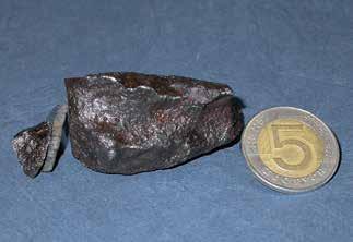 5 kg (before cleaning) (photo M. Cimała).