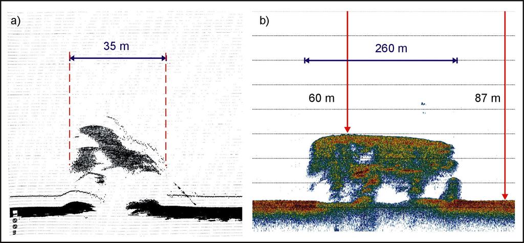 Nr 4 (21) 2007 rok Rys. 3. Echogramy badanego obiektu uzyskane za pomocą echosondy Echogram (Rys.