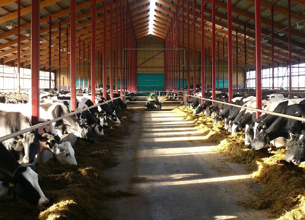 raport ŻYWIENIE (RW-11) OCENA ŻYWIENIA KRÓW NA PODSTAWIE WYDAJNOŚCI I SKŁADU MLEKA zawartości mocznika w mleku przebiegu krzywych laktacji w podziale na grupy pierwiastek i
