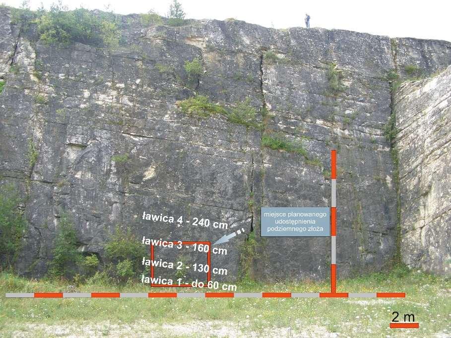 początkowe lata byłyby poświęcane na udostępnienie najpierw pierwszego, potem drugiego pola eksploatacyjnego (tab. 6).