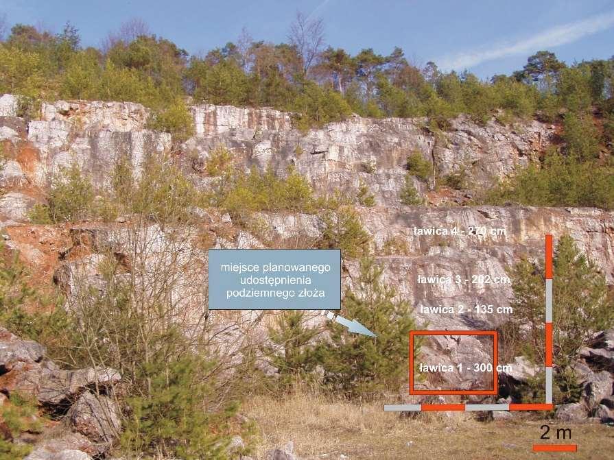 nakładów inwestycyjnych, w tym związanych z dodatkowym rozpoznaniem geologicznym i geomechanicznym, wykonaniem wyrobisk udostępniających, zakupem