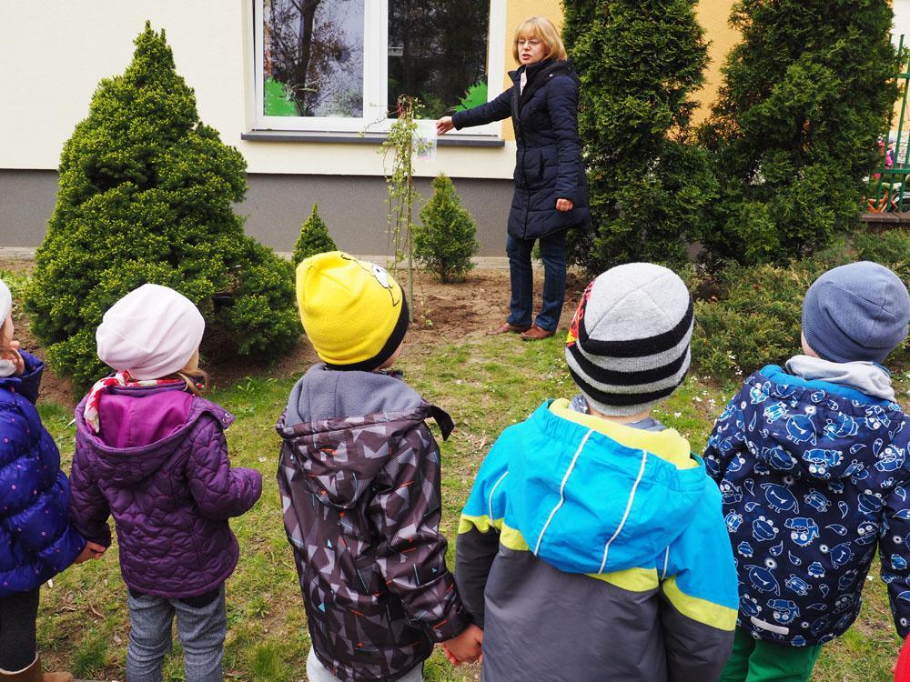 nowe jabłonki i wierzby.