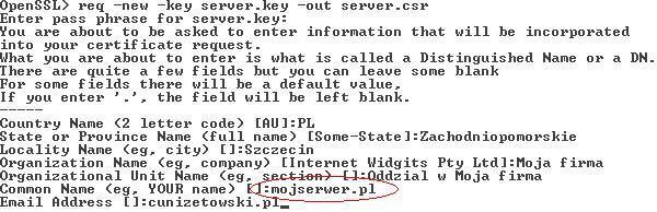 Wynikiem tego polecenia jest żądanie certyfikatu CSR serwera, które zapisane będzie w pliku server.csr. Pamiętajmy o wskazaniu pliku z kluczem prywatnym server.key.