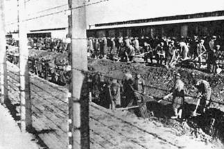 115. Obóz koncentracyjny Auschwitz Birkenau. Więźniowie przy pracy. Stanąłem przed wózkiem, ale ładować kamieni ani tłuc nie mogłem. Wózek nie był naładowany. Krzyk, hałas, przekleństwa i razy.