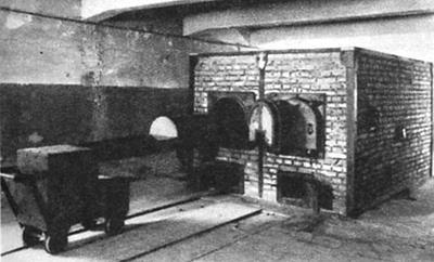 Mój przyjazd do Oświęcimia wypadł na tzw. lepsze czasy w obozach. W tym czasie potęga hitlerowska zaczęła się chwiać na Wschodzie.