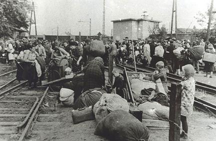 133. Obóz dla ludności Warszawy w Pruszkowie. Z tego obozu Władysław Gojdź został wywieziony na roboty przymusowe do Niemiec. 1944.