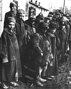 pośpiechu i nieskoordynowanych ruchów odpadali od barierki i wpadali do morza. Niestety w nocy nikt ich nie ratował.