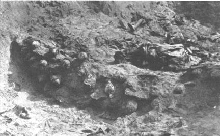 55. Katyń. Masowy grób jeńców polskich. Ekshumacja 1943 Na podstawie tej decyzji tworzono listy transportowe, które były faktycznymi wyrokami śmierci.