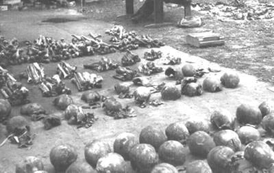 59. Miednoje - ekshumacja 1991. Szczątki jeńców polskich z obozu w Ostaszkowie zamordowanych przez NKWD w Kalininie (Twer). Był to okres likwidacji obozu ostaszowskiego i masowego mordowania jeńców.