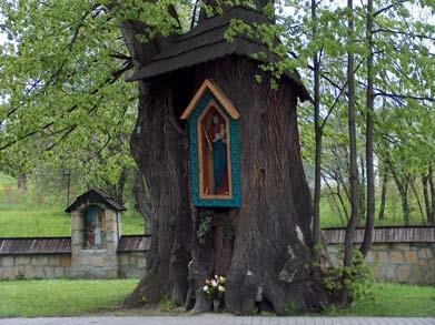 Babia Skała Jerzmanowice, 2.