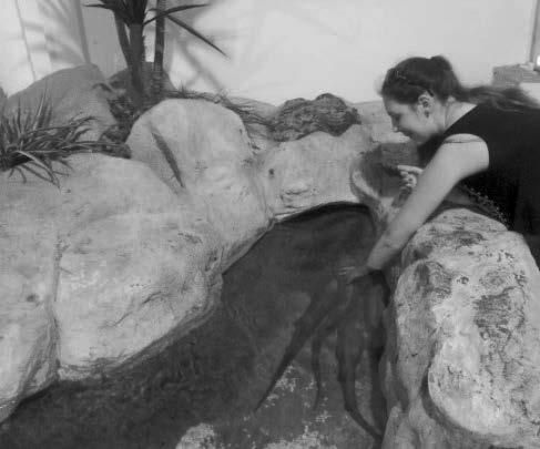 148 Barbara Pabian reprezentujących około 250 gatunków z całego świata 25. Za określoną kwotę można zanurkować z rekinami i diugoniami (ssakami morskimi z rzędu syren) lub popływać z delfinami.