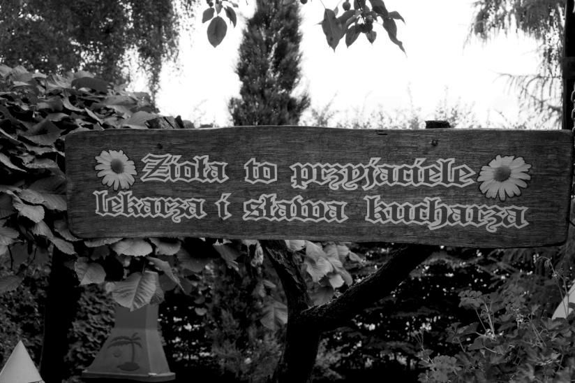 Z ekologią za pan brat. Turystyka kulturowo-przyrodnicza 97 deskach znajdują się wymowne motta: Zioła to przyjaciele lekarza i sława kucharza oraz Leki z Bożej apteki.