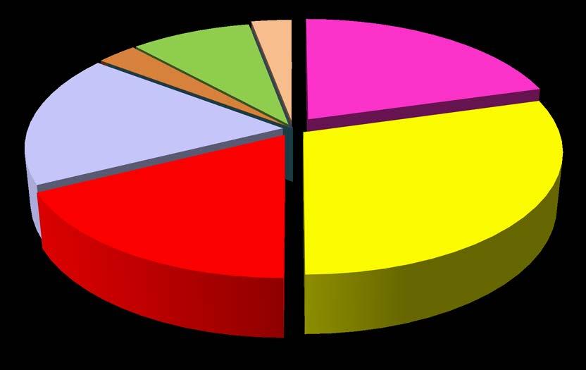 I don t like a bit 3% I like moderately 18% I don t