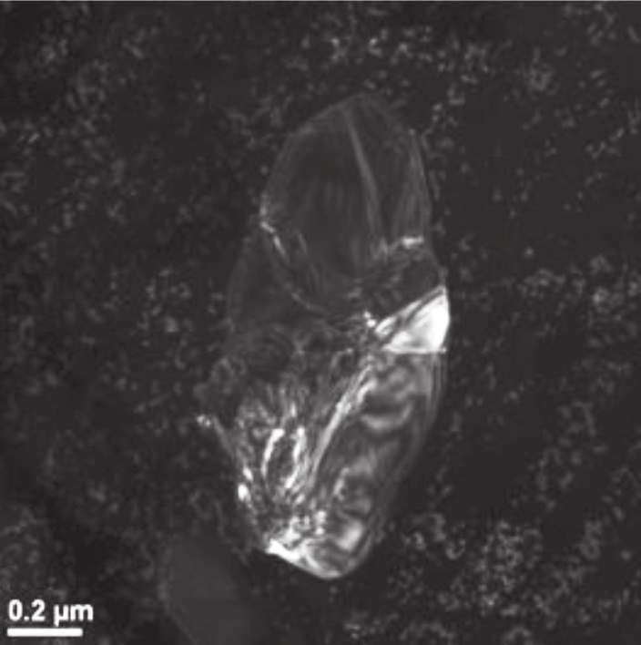 Próbki po odkształcaniu w temperaturze 200 C z prędkością 0,001 s -1 posiadają strukturę złożoną z dużych ziarn zawierających pasma ścinania oraz drobnych ziarn i
