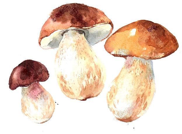 00 zł Talerz pasterski włoskie salami pikantne, szynka parmeńska, włoska rolada boczkowa i tradycyjne włoskie sery z musztardą z pigwy oraz warzywa marynowane (dla 2 osób) Bruschetta pomodorini,