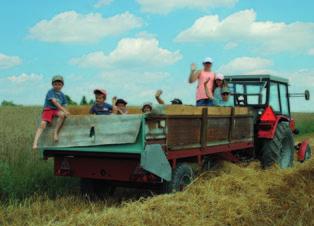 Mały farmer Obóz farmerski dla najmłodszych 8-13 lat w gospodarstwie: poznanie narzędzi i urządzeń rolniczych, opieka nad zwierzętami domowymi (kury, króliki, świnie, krowy, kozy), czyszczenie obory,