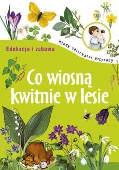 fragmentów