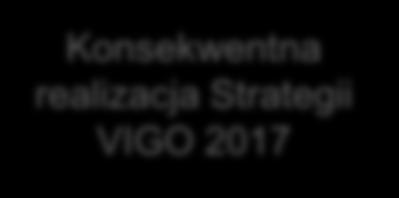 Kluczowe wydarzenia i osiągnięcia Konsekwentna realizacja Strategii VIGO