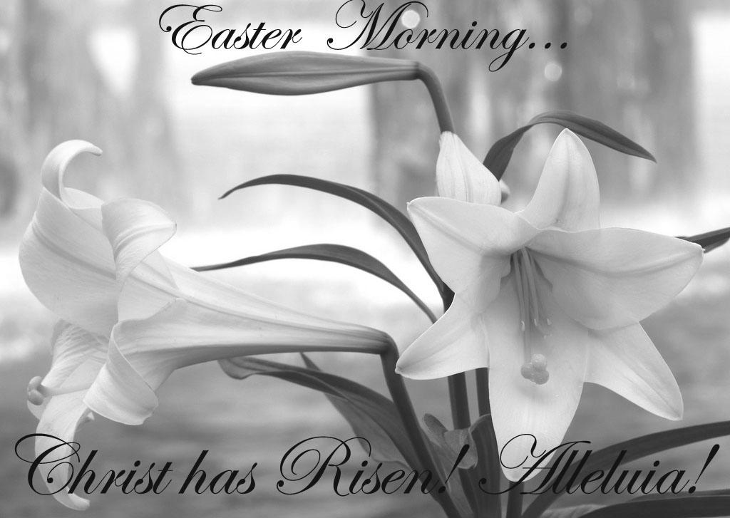 Saint Hedwig Roman Catholic Church Parafia Rzymsko - Katolicka Świętej Jadwigi Easter Sunday March 27, 2016 Saturday Niedziela Wielkanocna 27 Marca 2016 - Sobota - March 26 Holy Saturday / Wielka